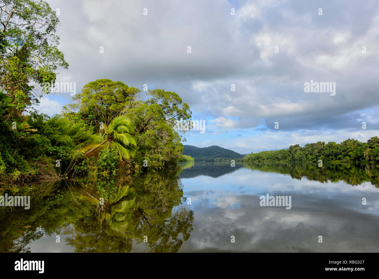 Ruhiger Blick auf den Daintree River, Daintree Nationalpark und feuchten Tropen, Far North Queensland, FNQ, QLD, Australien Stockfoto