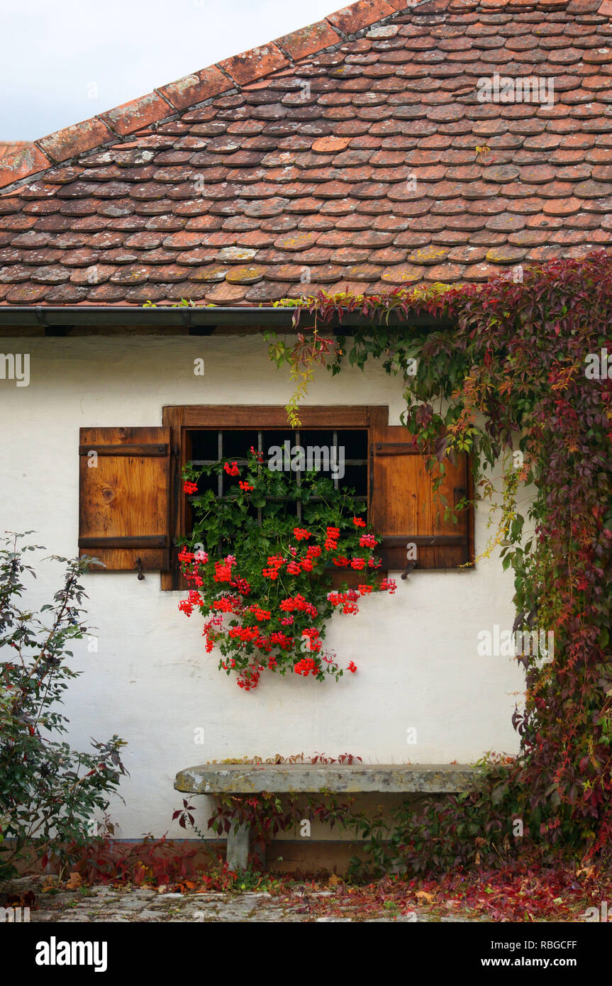 Ein idyllischer Ort vor einem alten Haus mit Geranien, wilder Wein und ein Ort der Ruhe Stockfoto