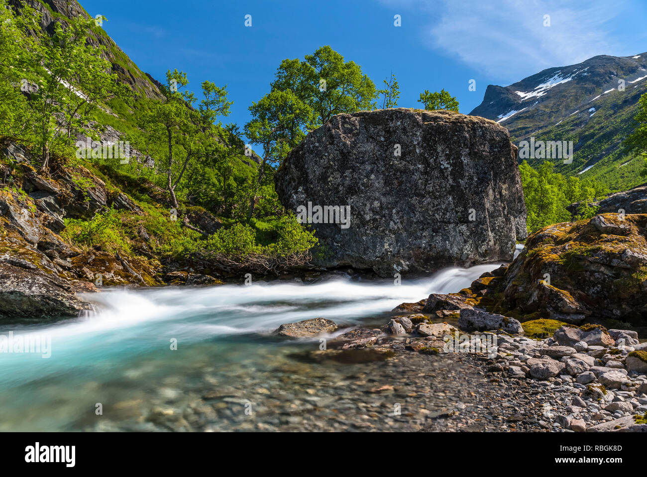 Die klarste Stream in einem Bergtal mit Birken im Frühjahr Farben unter einem blauen Himmel bedeckt. Norwegen, um hjelledalen. Stockfoto