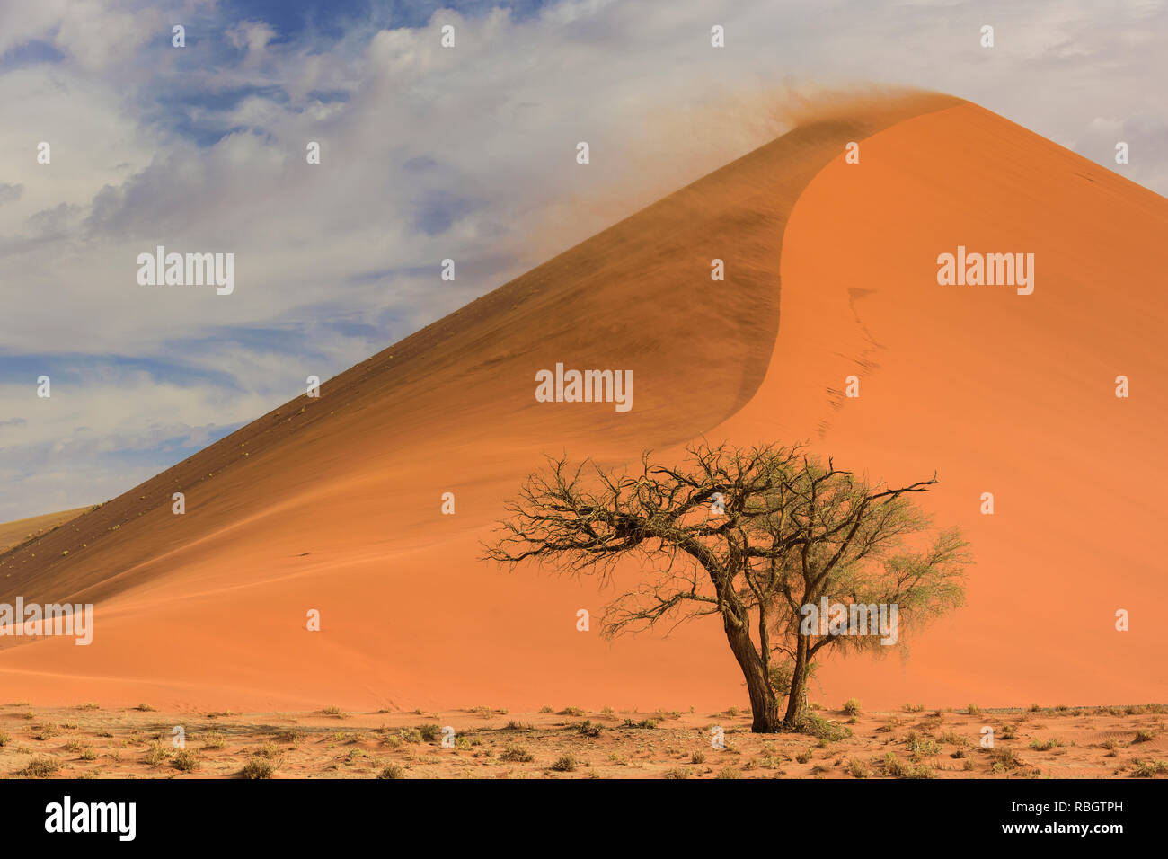 Sossusvlei Salzpfanne mit hohen roten Sanddünen in der Namib Wüste, Namibia, Afrika. Stockfoto