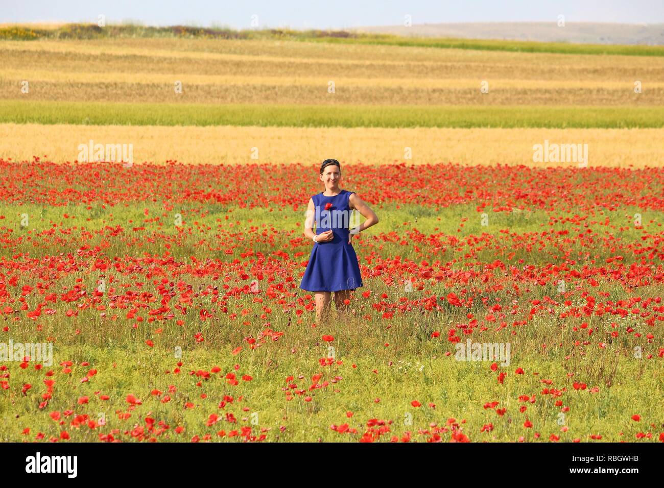 Frau im blauen Kleid visits Italienische Landschaft - späten Frühling Mohnfelder. Stockfoto