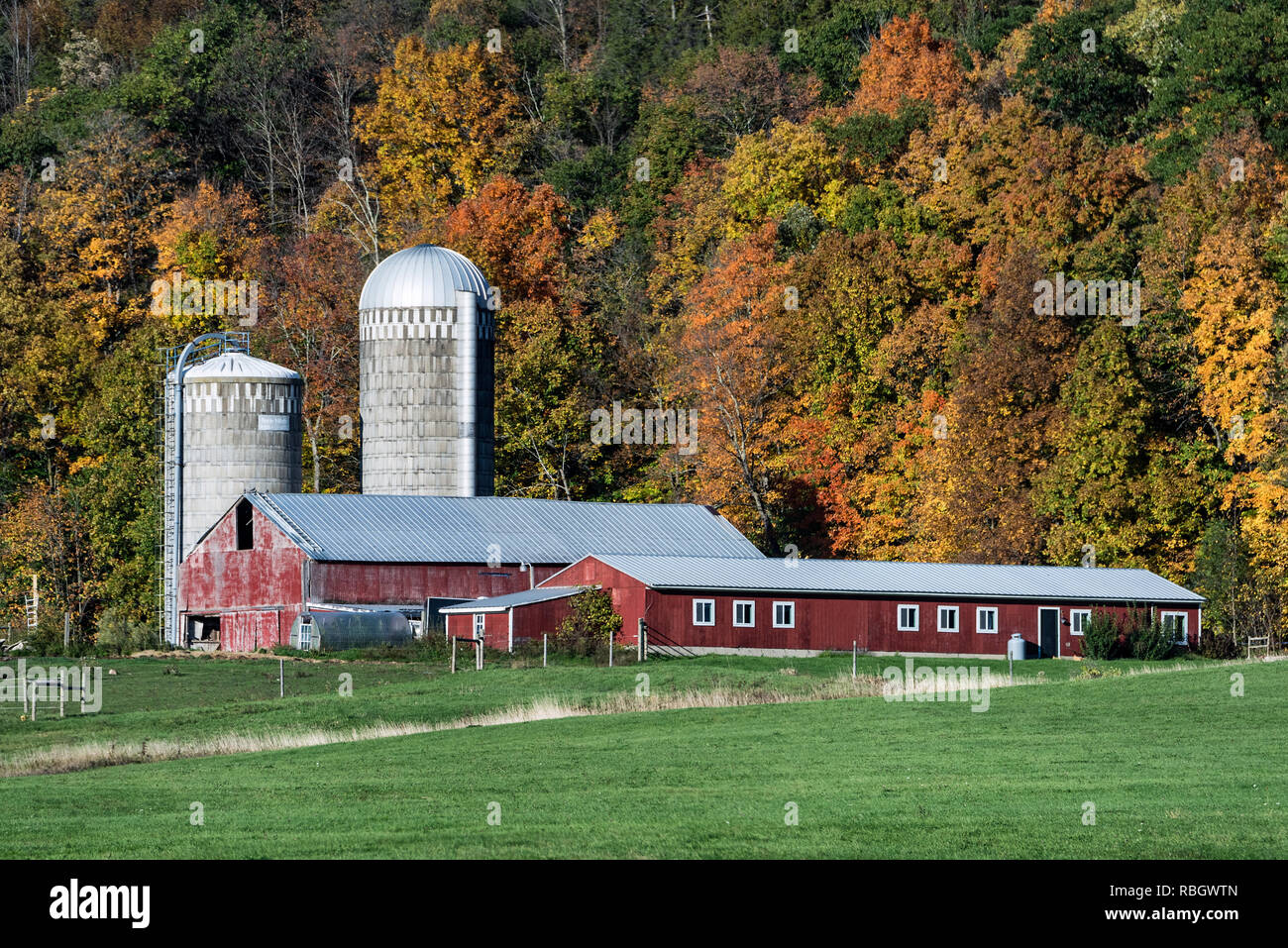 Charmante herbst Farm, Middlebury, Vermont, USA. Stockfoto