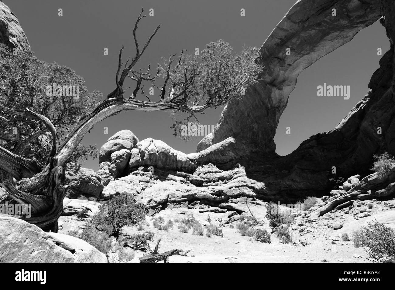 Arches National Park in Utah, USA. Berühmten Fenster Arch. Schwarze und weiße Ton - retro monochrome Farbe Stil. Stockfoto