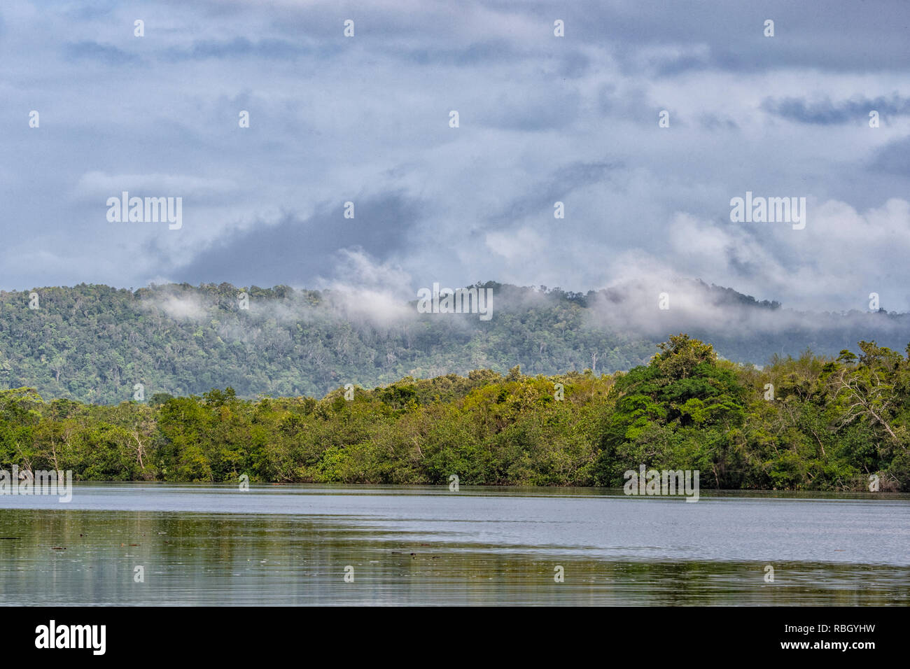 Atmosphärische Ansicht des Daintree River, Daintree Nationalpark und feuchten Tropen, Far North Queensland, FNQ, QLD, Australien Stockfoto