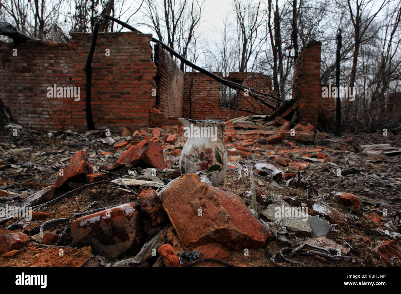 Bleibt der ukrainischen Dorf Polesskoye nach Waldbränden in der Sperrzone von Tschernobyl wütete. Wiederkehrenden Waldbrände führen zu einer erneuten fallen heraus Stockfoto