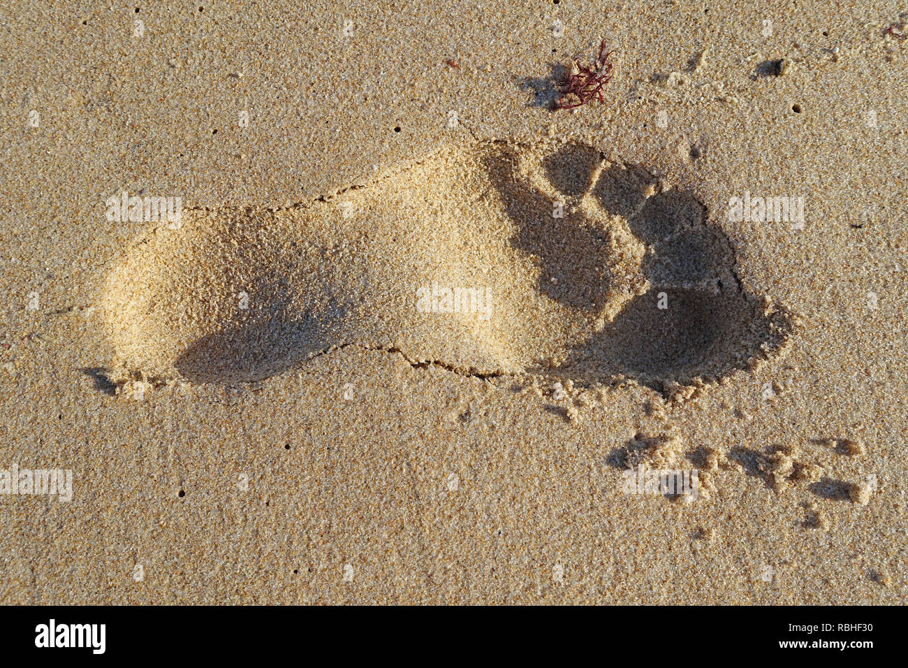Einzelnen Fußabdruck im Sand am Strand Stockfoto