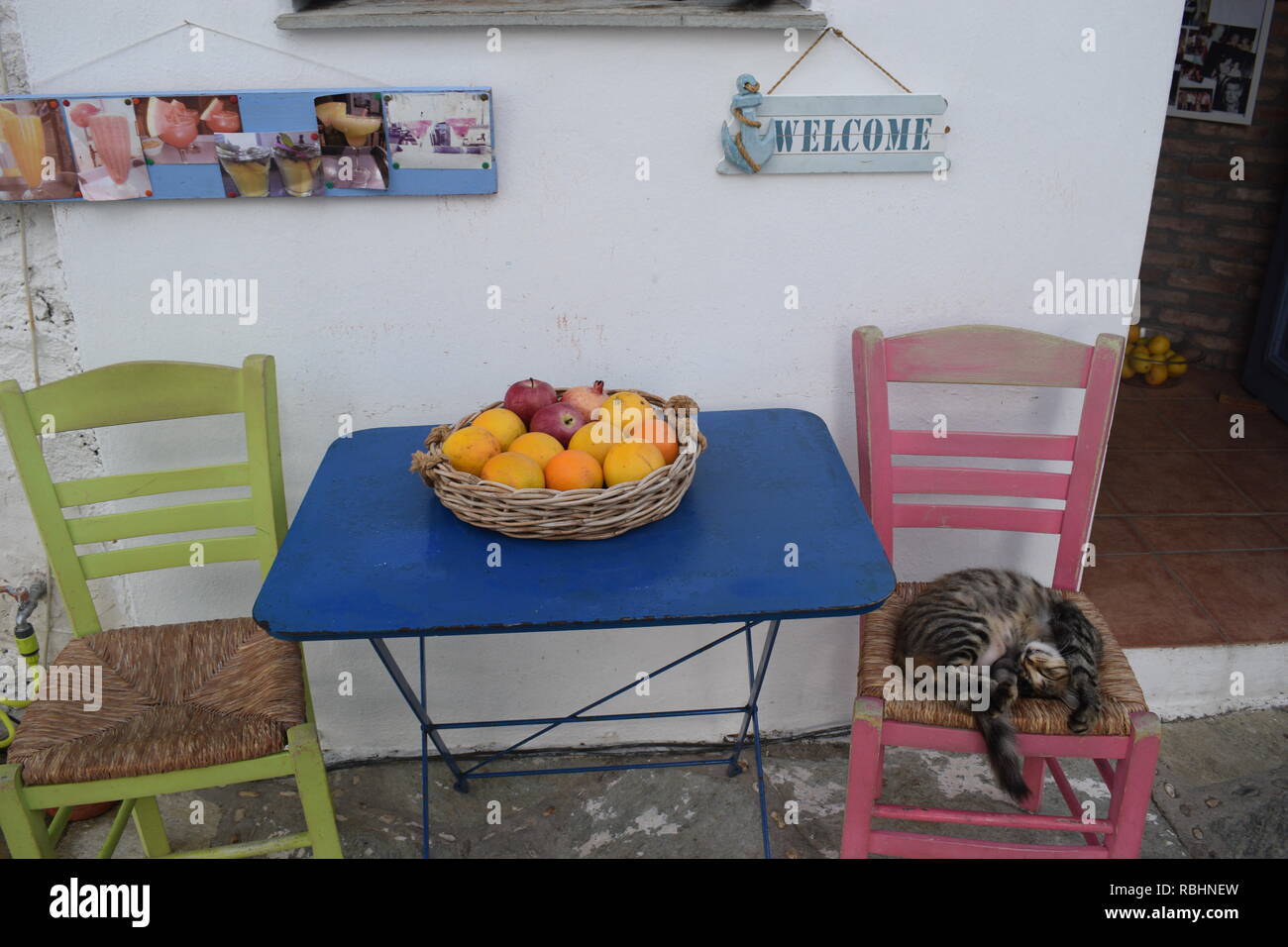 Griechische Katze auf Sessel Stockfoto