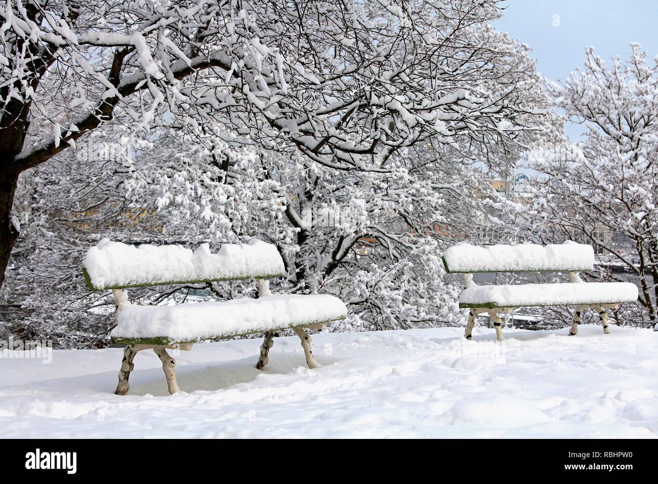 Landschaft einer winterlichen Park mit Schnee bedeckt, leer Holzbänke, Bäume und blauer Himmel. Helsinki, Finnland. Stockfoto