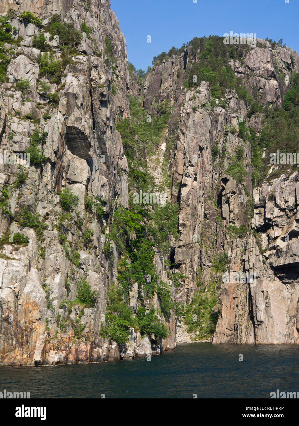 Einen Tag Fjord Cruise in Lysefjorden östlich von Stavanger Norwegen, gewagte Bäume und steilen und schroffen Berghängen direkt in die Fjord Stockfoto