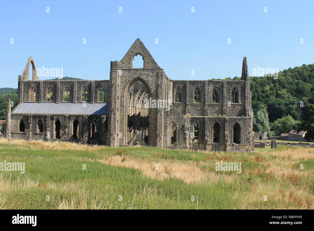 Tintern Abbey, Tintern, Monmouthshire, Wales, Großbritannien Stockfoto