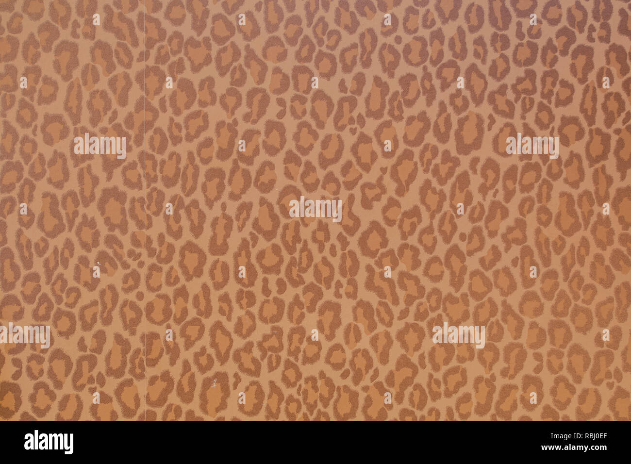 Leopard Wild animal Muster Hintergrund oder Textur, Tapeten Konzept natur Farbe Stockfoto