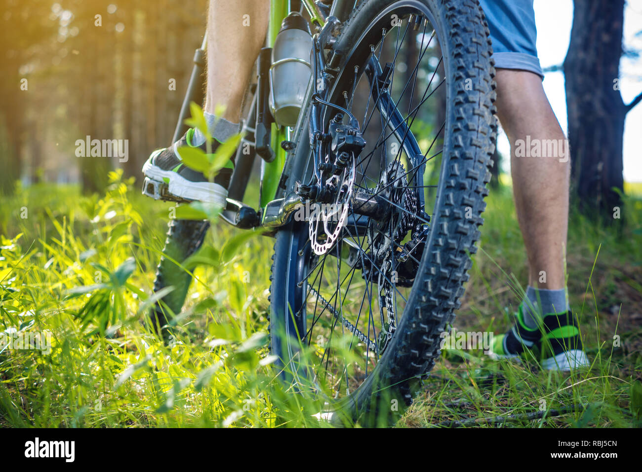 Radfahrer auf einem Green Mountain Bike in den Wald reiten auf dem Gras. Unter- und Rückseite. Das Konzept der aktiven und extremen Lebensstil Stockfoto
