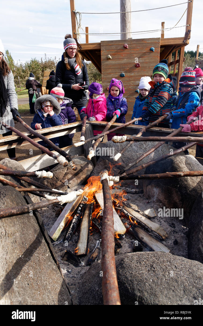 Kinder kochen bannock Lagerfeuer Brot auf Stöcken über dem offenen Feuer Stockfoto