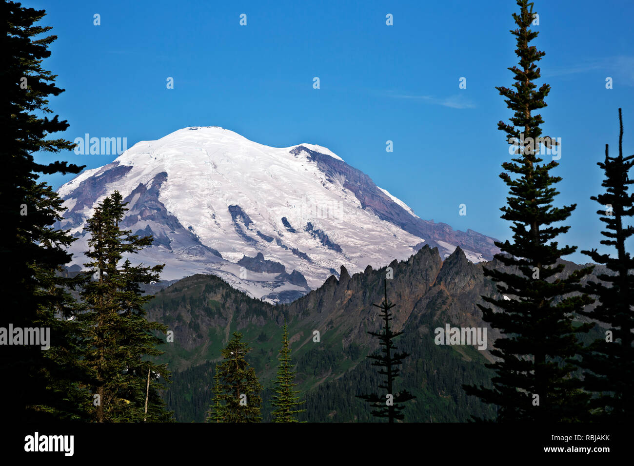 WA 15753-00 ... WASHINGTON - Mount Rainier oben Governers Bergkamm, der aus dem naches Peak Loop Trail im Mount Rainier National Park. Stockfoto