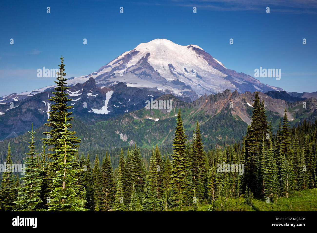 WA 15754-00 ... WASHINGTON - Mount Rainier oben Governers Bergkamm, der aus dem naches Peak Loop Trail im Mount Rainier National Park. Stockfoto