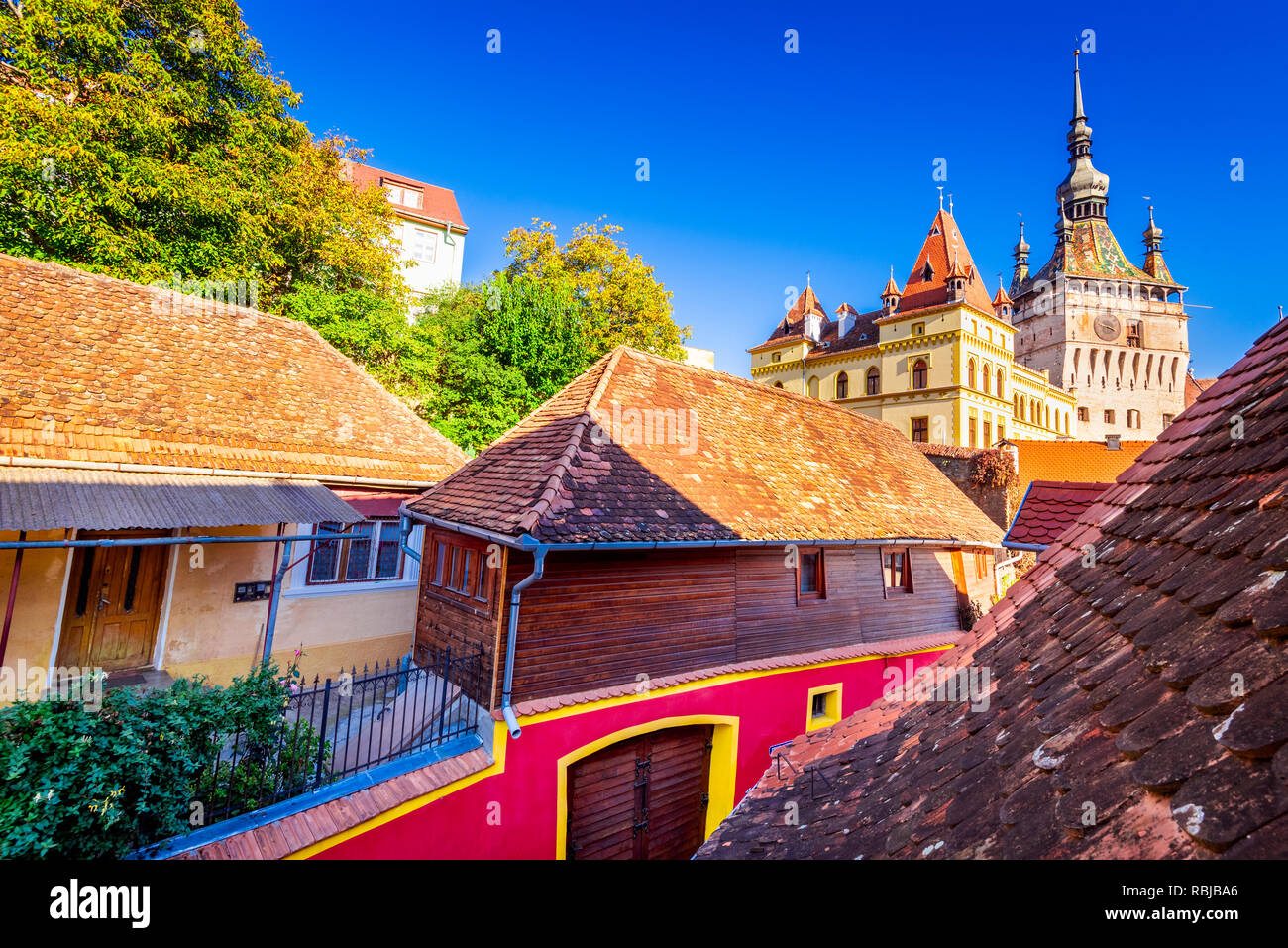Sighisoara, Siebenbürgen, der Glockenturm und die berühmte mittelalterliche Stadt von Sachsen in Rumänien gebaut. Stockfoto