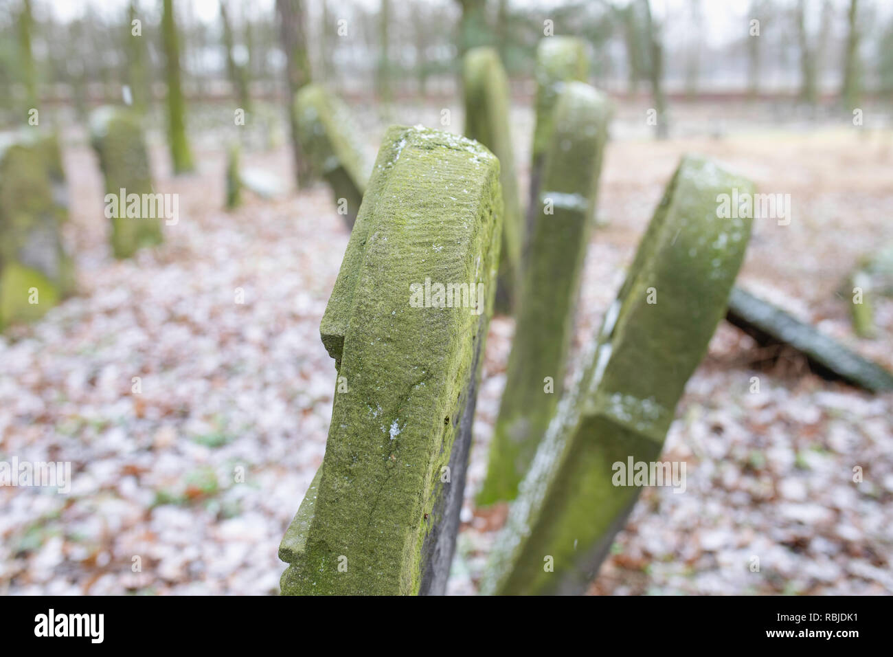 Der alte jüdische Friedhof, matzevah, Grabsteine im Winter. Piotrkow Trybunalski - Stadt des ersten jüdischen Ghettos von Nazi-Deutsche in Polen gegründet. Stockfoto