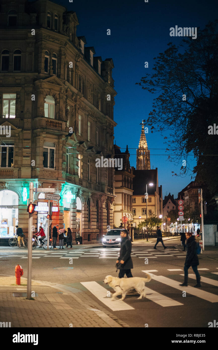 Straßburg, Frankreich - 31.Oktober 2017: Französische Straße Kreuzung überqueren - Straße mit Fußgänger Straße am Abend und Notre-Dame Kathedrale im Hintergrund beleuchtet - Mann, Hund Stockfoto