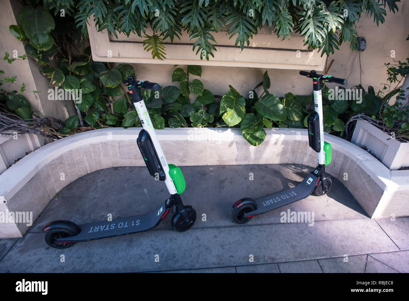 Kalk - S elektrische Motorroller mieten. Los Angeles. Stockfoto