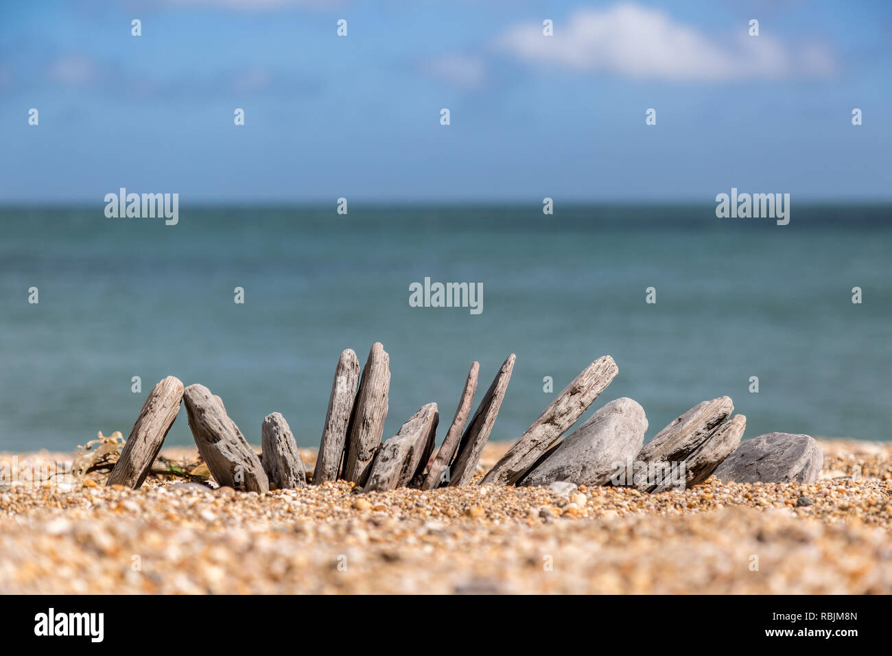 Random Steine im Sand sitzen auf einem Strand Stockfoto