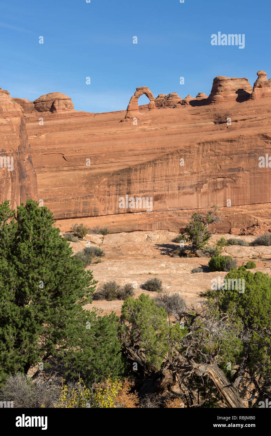 Vertikaler Zarten Arch im Arches National Park von unten. Stockfoto