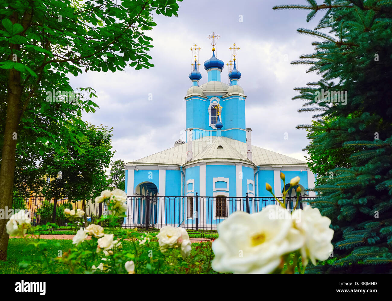 Blick auf St. Sampson Kathedrale von Sampson Garten. St. Petersburg, Russland. Stockfoto