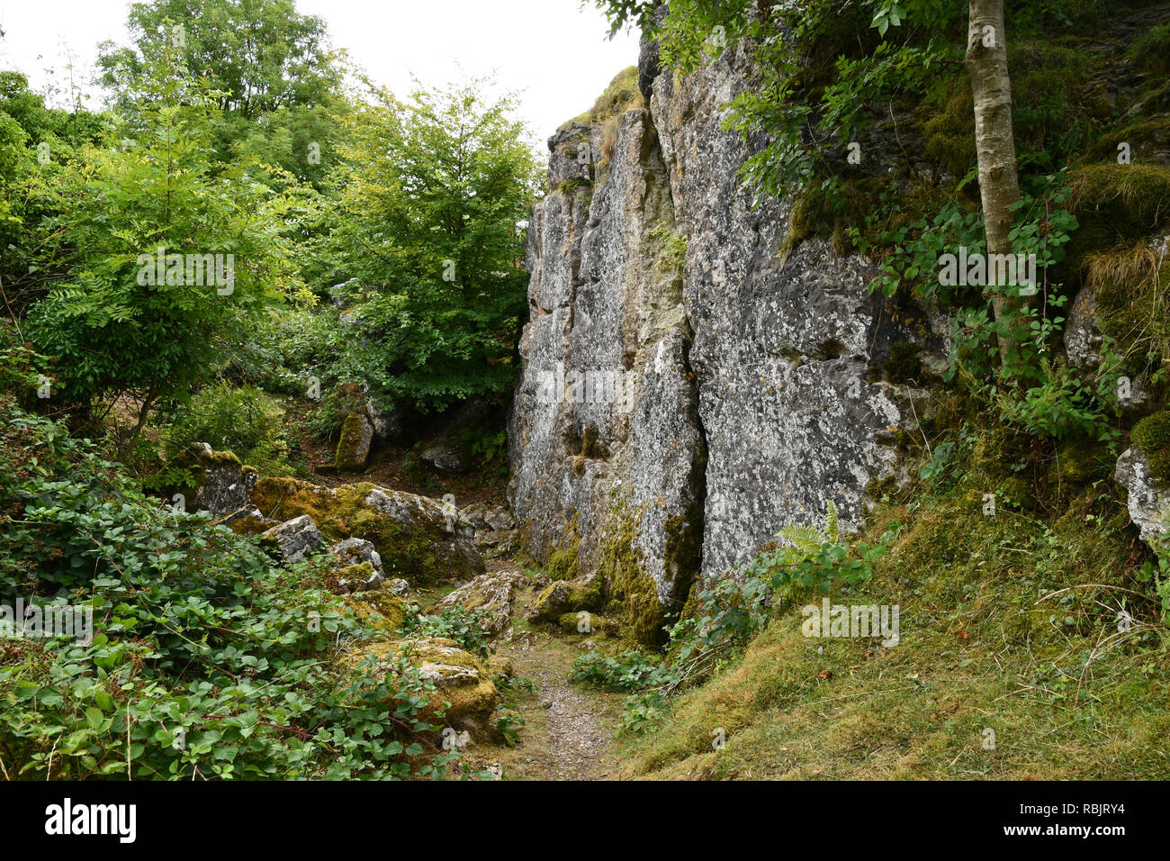 Ubley Warren auf der Mendip Hills in Somerset, die hier gezeigt werden, sind aus mineralischen Venen gearbeitet oder 'Rechen. Diese sind unter den ungleichen Grubenbaue Stockfoto