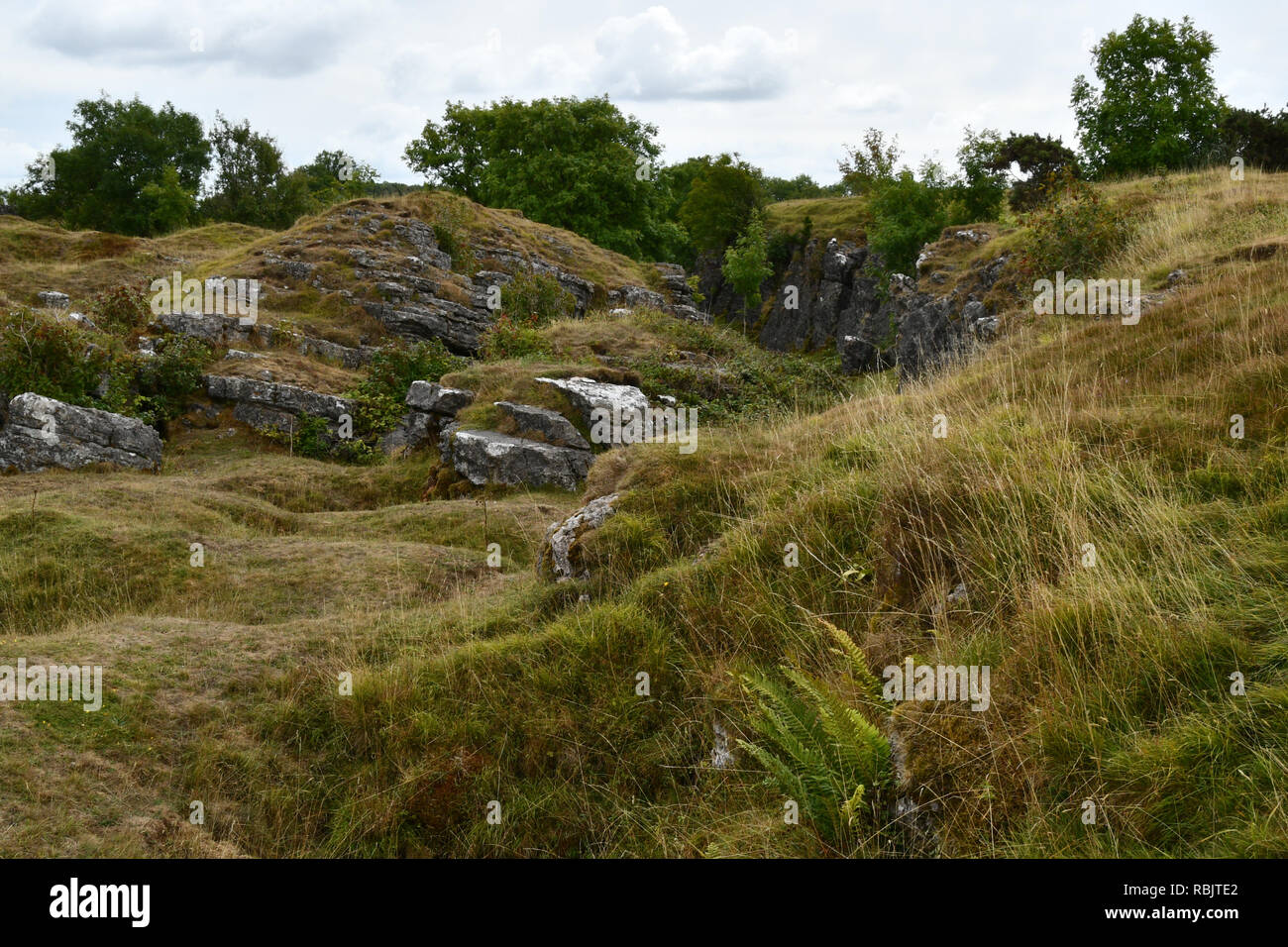 Ubley Warren auf der Mendip Hills in Somerset, die hier gezeigt werden, sind aus mineralischen Venen gearbeitet oder 'Rechen. Diese sind unter den ungleichen Grubenbaue Stockfoto