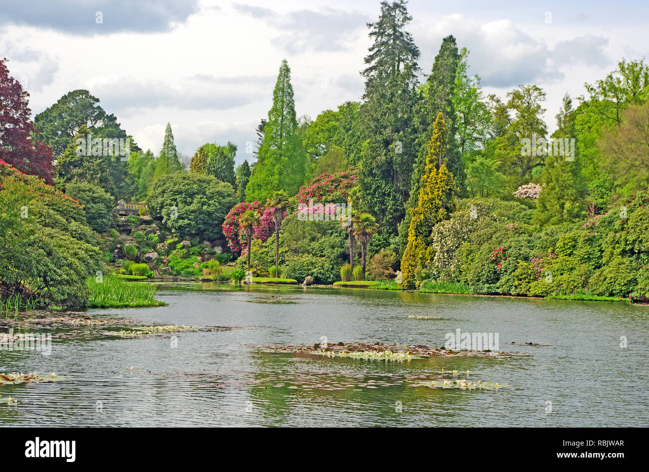 Sheffield Park, See, Garten, Sussex Stockfoto