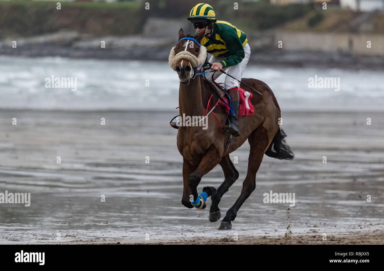 Schließen uo auf Galopp Rennen Pferd und Jockey auf nassem Sand Strand Stockfoto