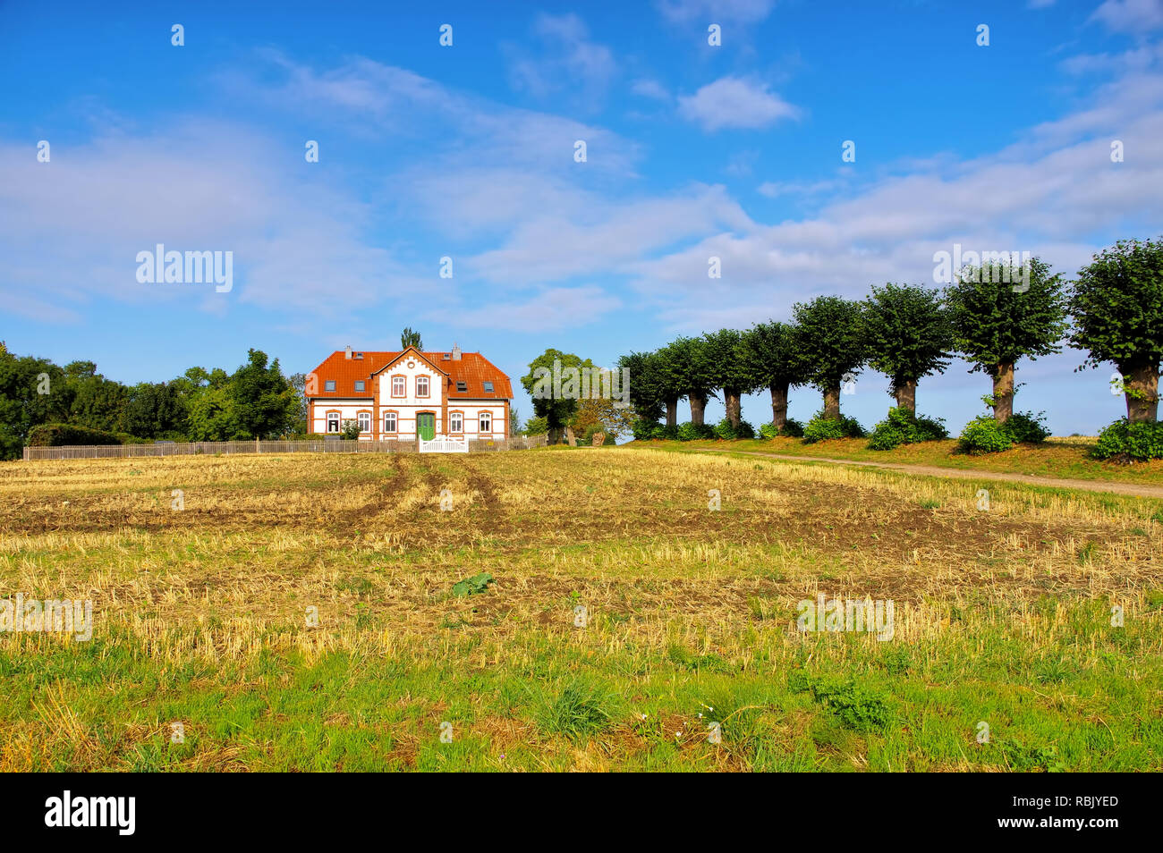 Eine alte Villa mit einer Lindenallee auf der Insel Poel in Deutschland Stockfoto