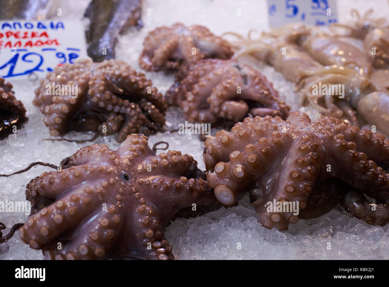 Octopus auf Anzeige Athen Griechenland frischen Fisch Markt in der Innenstadt Stockfoto