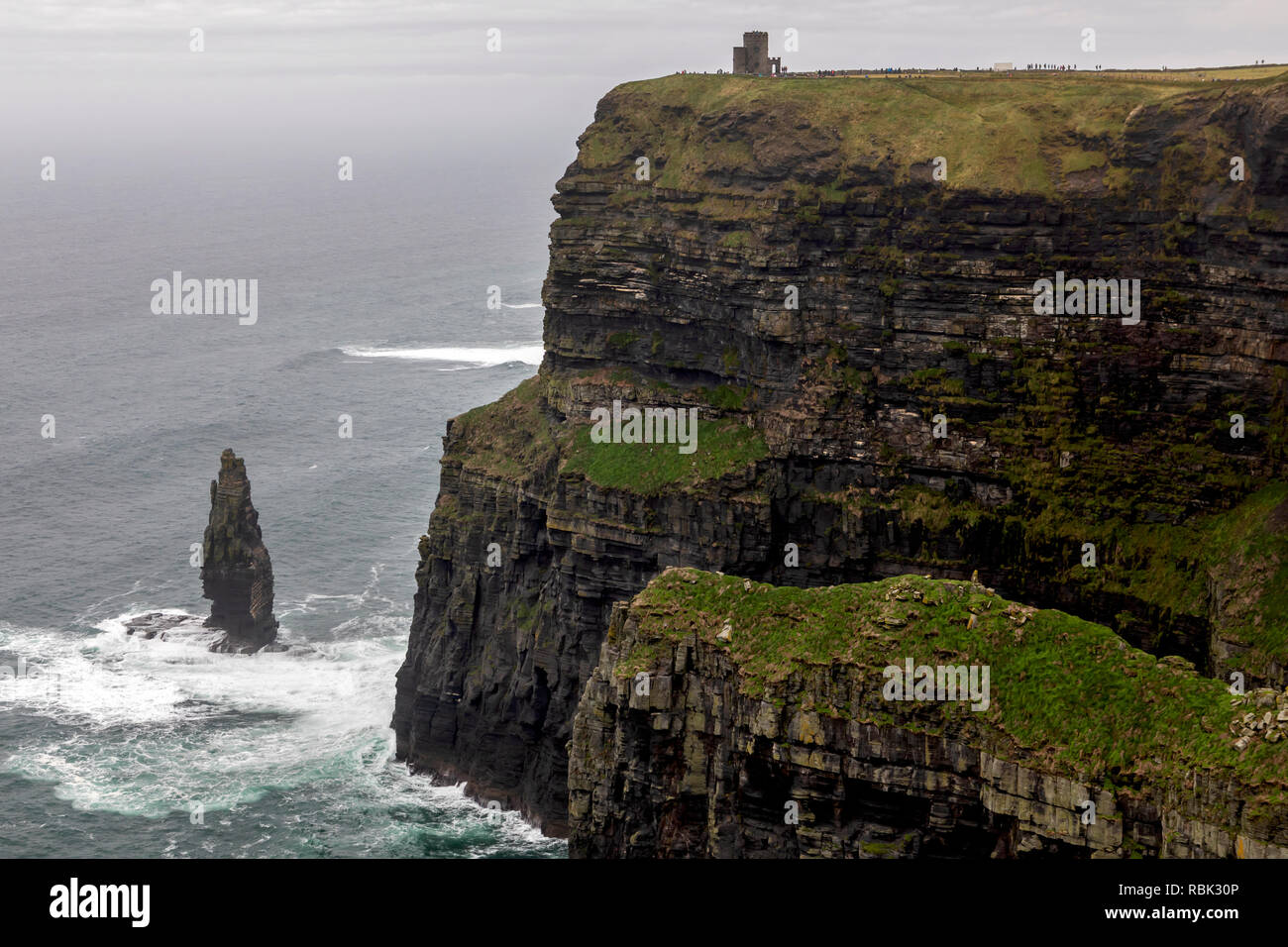 Die Klippen von Moher und O'Brien's Tower an der Westküste von Irland. Stockfoto