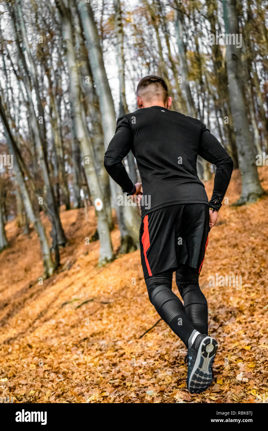 Athleten, die im Wald, Herbst, braune Blätter, arbeiten härter und härter. Stockfoto