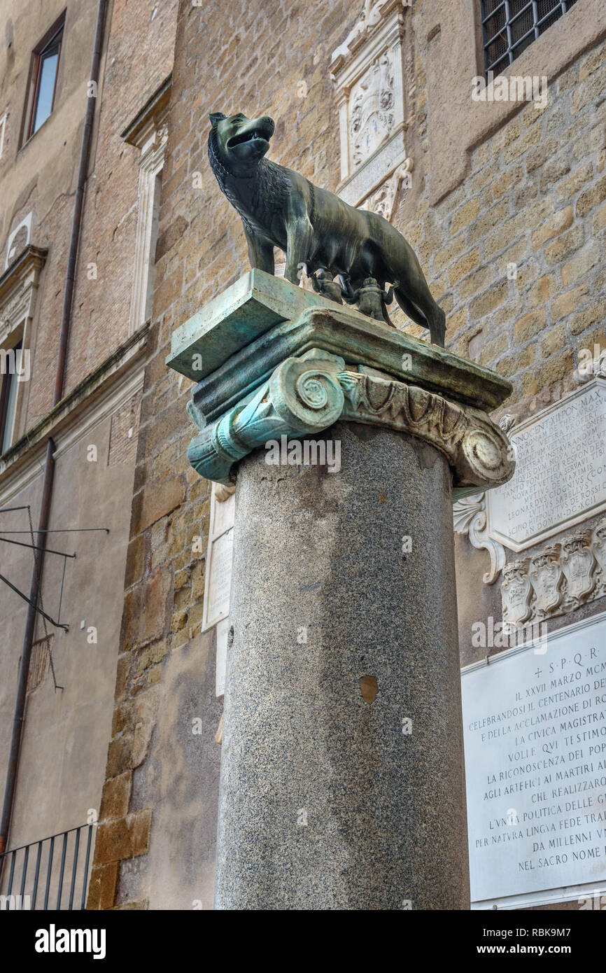 Kopie des Kapitolinischen Wolf Statue auf Säule an der nördlichen Ecke von Palazzo Senatorenpalast in Rom. Italien Stockfoto