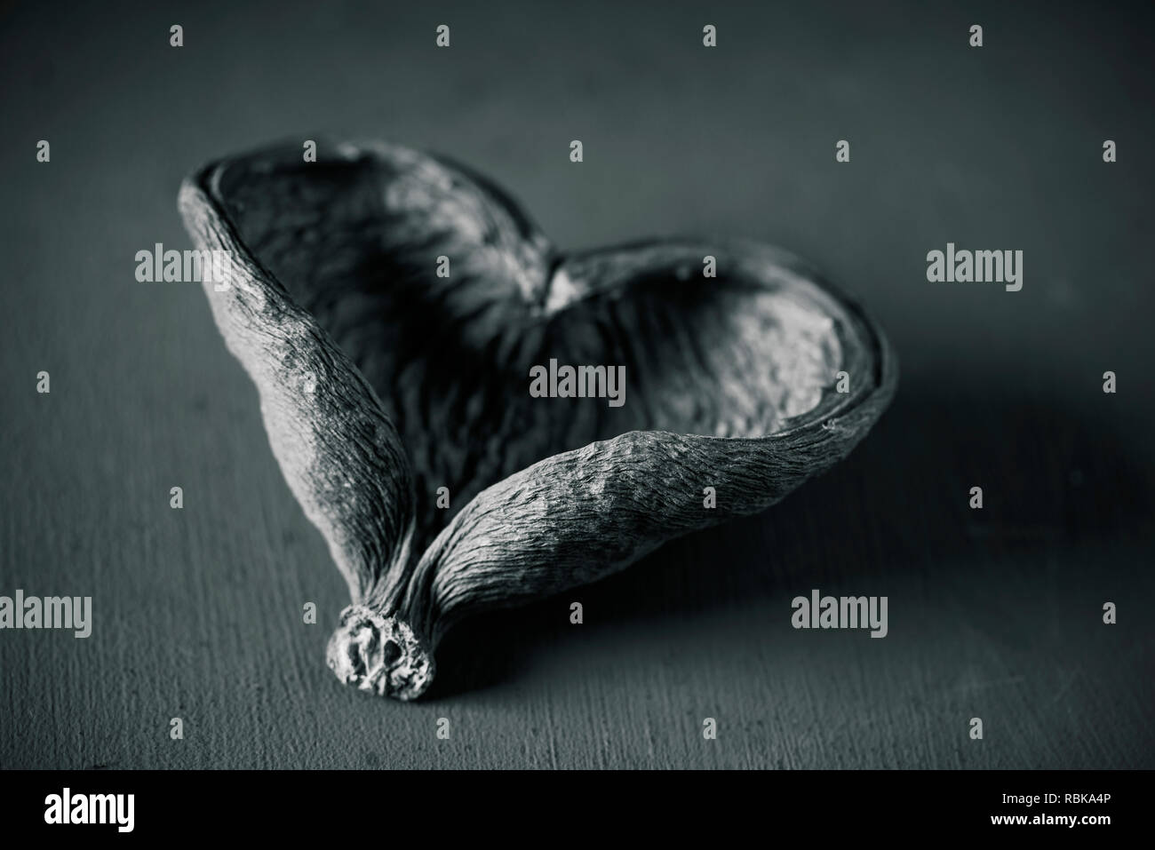 Nahaufnahme der getrockneten Haut einer Frucht in der Form eines Herzens auf einem dunklen Hintergrund in Schwarz und Weiß, mit einem leichten Vignette hinzugefügt Stockfoto