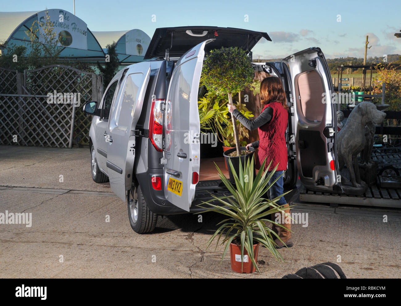 Frau laden große Pflanzen in ein 2013 Renault Kangoo kleine van Stockfoto