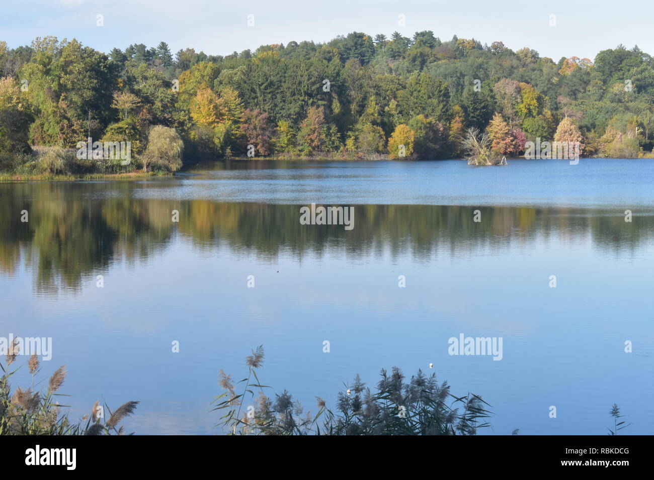 Tarrytown Stausee an einem klaren Tag im Frühherbst mit einigen Fallen Tree Farben und Spiegelungen im Wasser Stockfoto