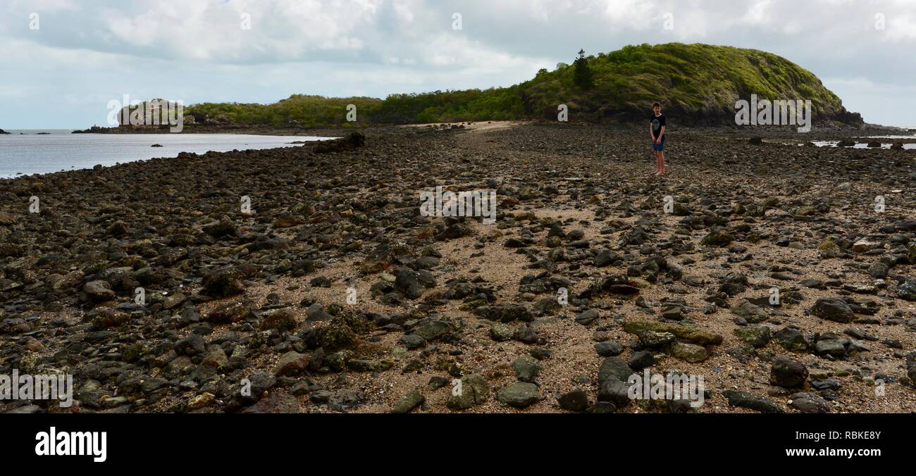 Die felsigen Causeway verbinden Keil Insel zum Festland, Wandern durch Cape Hillsborough National Park, Queensland, Australien Stockfoto