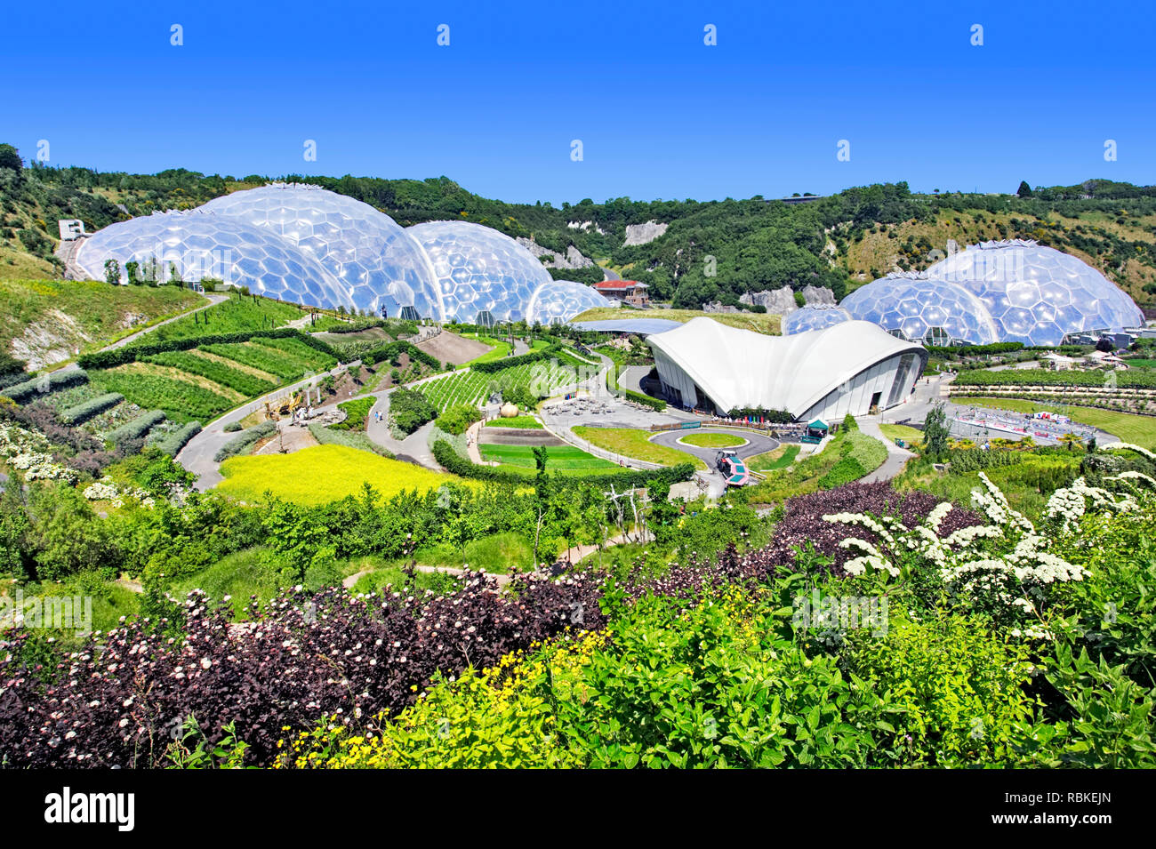 Eden Project in Cornwall Stockfoto