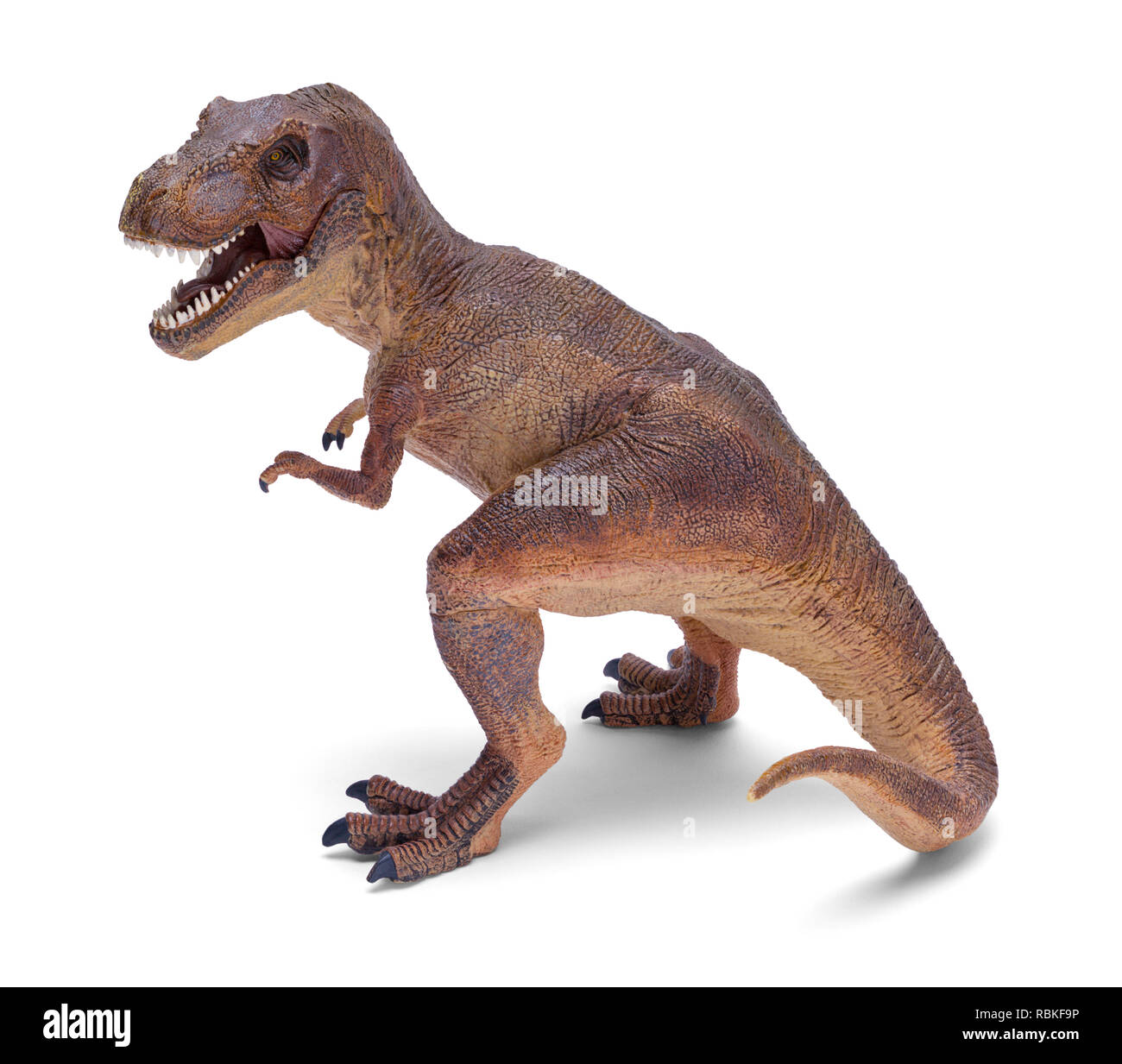 T-Rex Dinosaurier Spielzeug isoliert auf weißem Hintergrund. Stockfoto