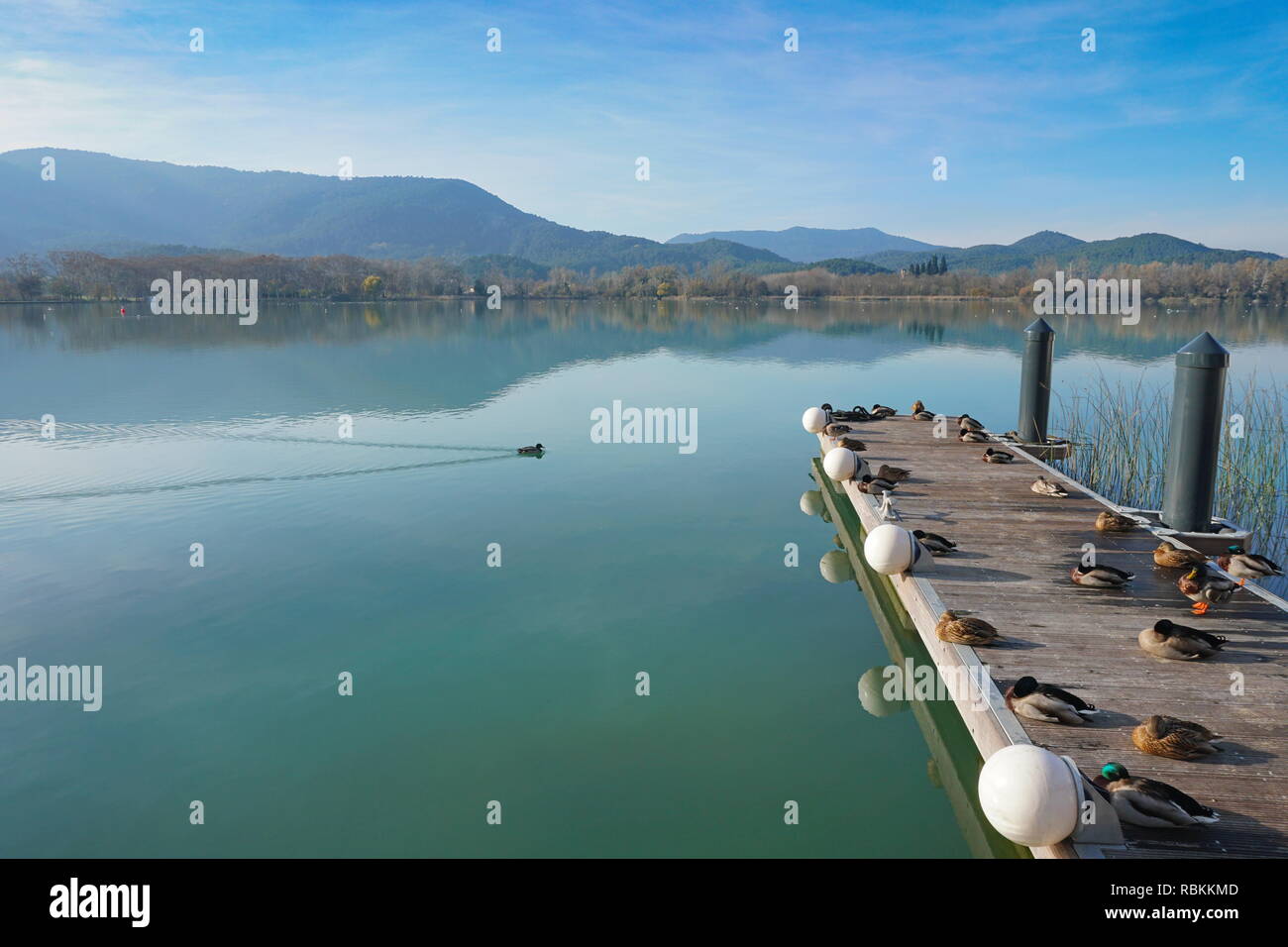 Friedliche Aussicht von Banyoles See mit Enten ruhen auf einem schwimmenden Dock, Provinz Girona, Katalonien, Spanien Stockfoto