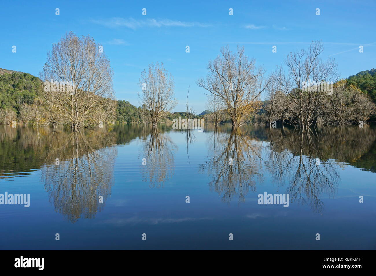 Überflutete Bäume stehen in Wasser in einem ruhigen See mit Reflexionen auf der Wasseroberfläche, Reservoir von Boadella, Girona, Alt Emporda, Katalonien, Spanien Stockfoto