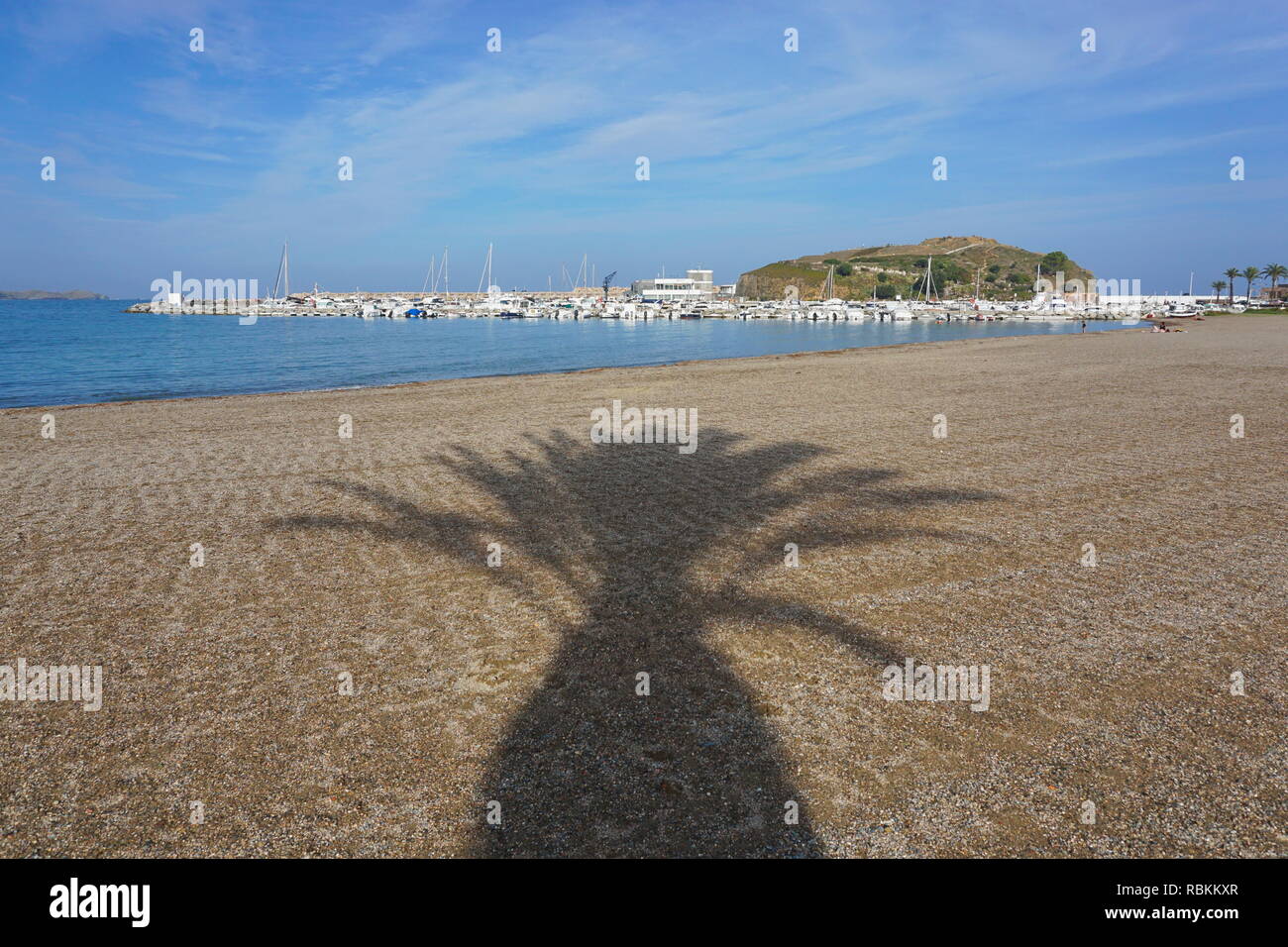 Schatten der Palmen am Strand von Portbou Hafen, Mittelmeer, Costa Brava, Katalonien, Spanien Stockfoto