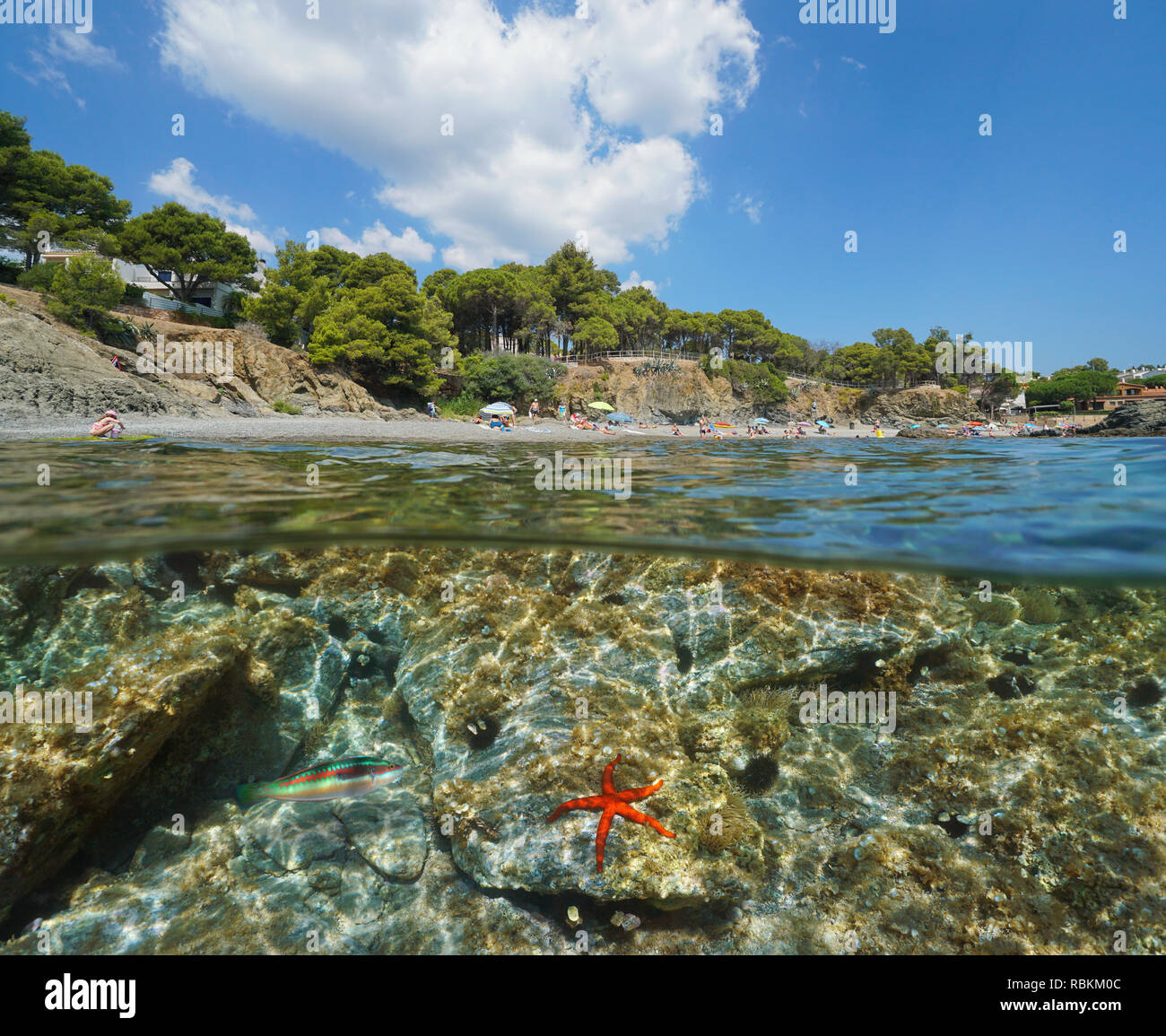 Spanien Strand im Sommer mit einem Seestern Unterwasser, Llanca, Costa Brava, Platja La Farella, geteilte Ansicht Hälfte über und unter Wasser, Mittelmeer Stockfoto