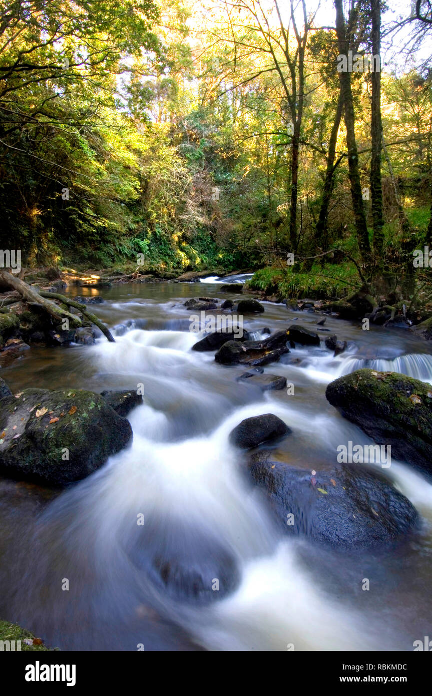 Clare Glens, Co Limerick Stockfoto