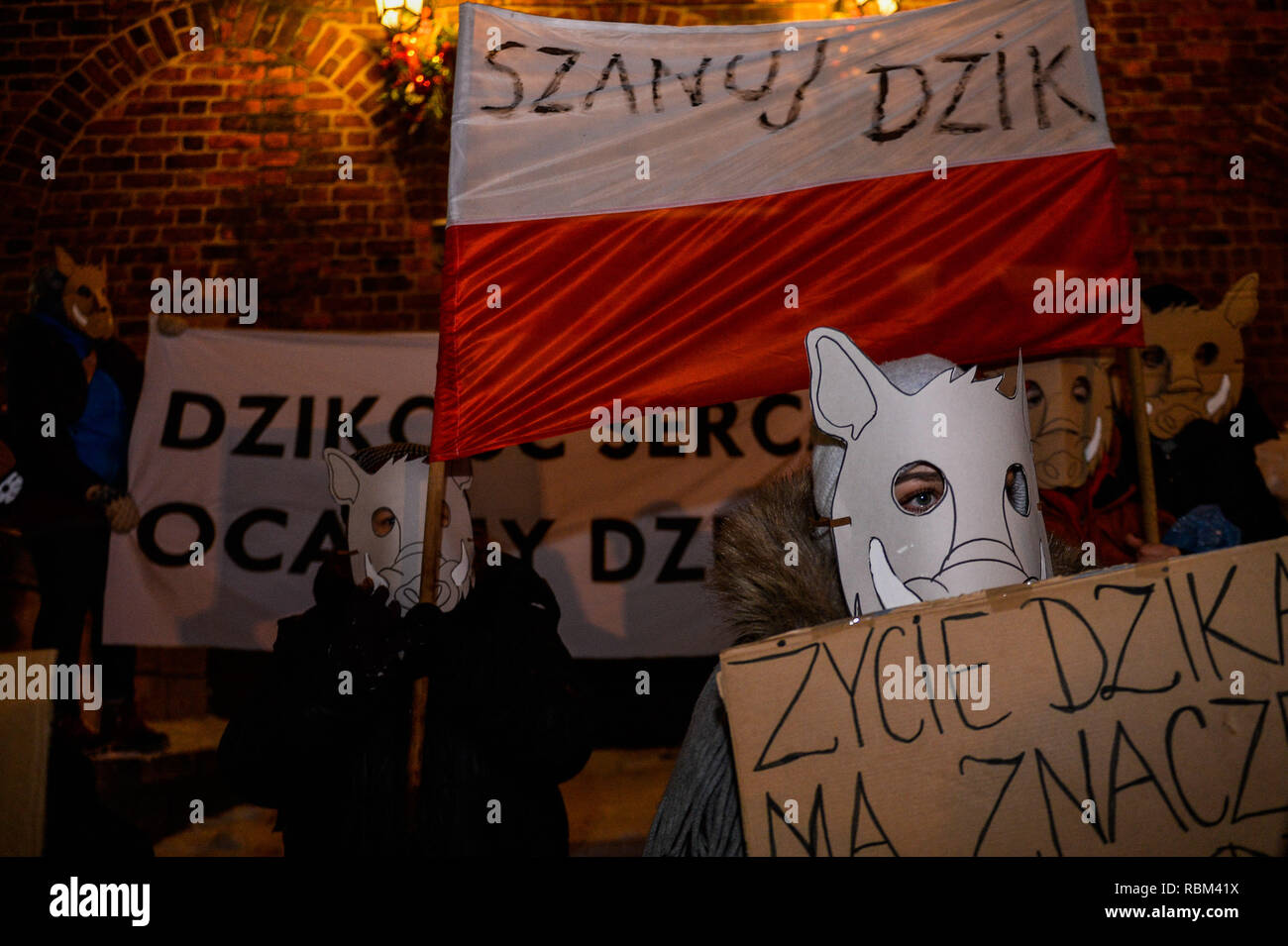 Krakau, Polen. 11 Jan, 2019. Eine Demonstrantin gesehen, ein Wildschwein Maske bei einem Protest gegen eine Masse Toetung von Wildschwein durch die polnischen Behörden bestellt die Ausbreitung der Afrikanischen Schweinepest, die Schweinefleisch in Polen betroffen hat, reduziert. Credit: Omar Marques/SOPA Images/ZUMA Draht/Alamy leben Nachrichten Stockfoto