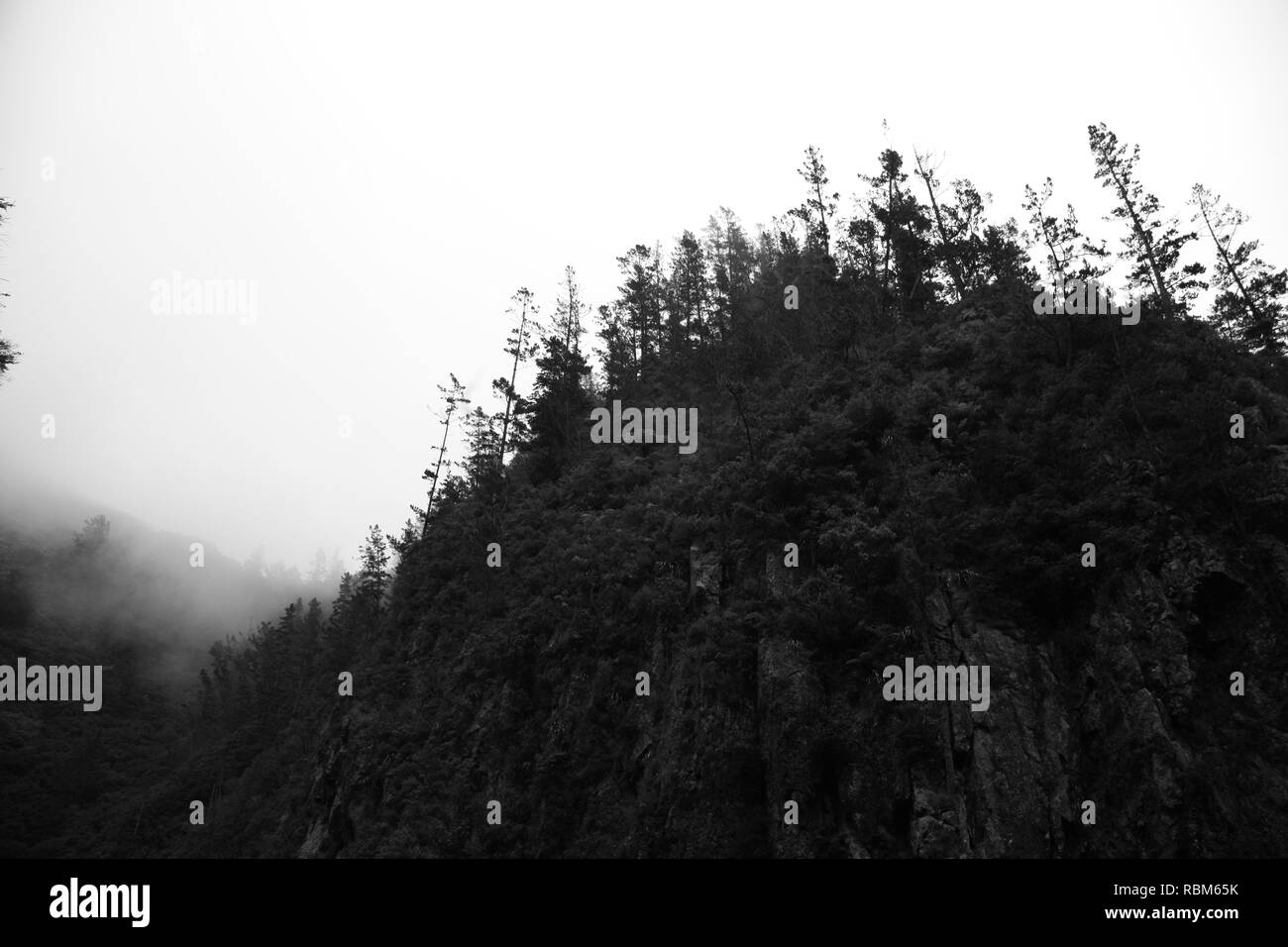 Bush Tal im Nebel Schwarz und Weiß Stockfoto