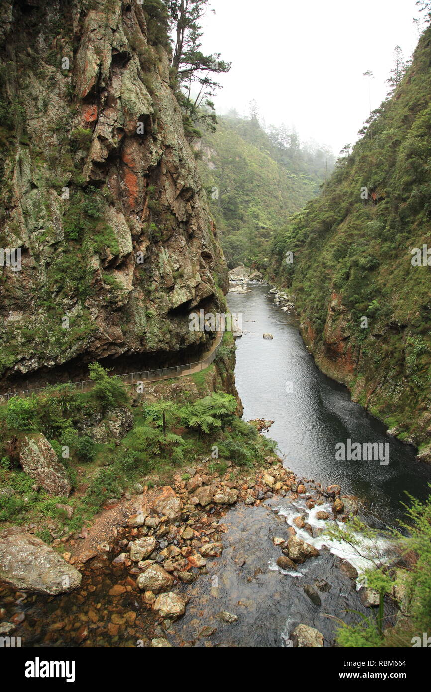 Bush Tal mit Fluss Stockfoto