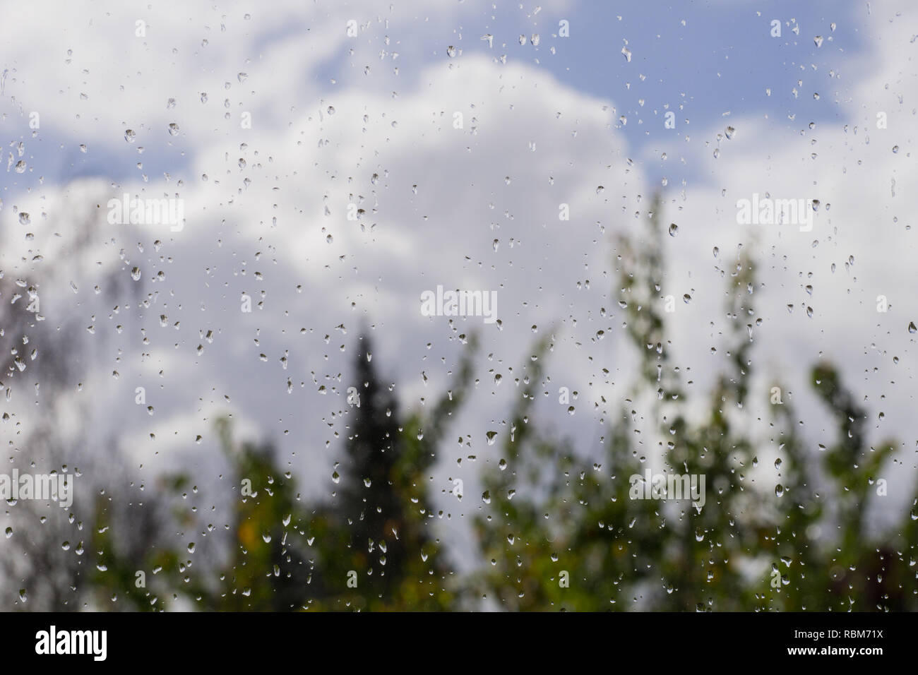 Regentropfen auf dem Fenster, unscharfen Bäume und Wolken im Hintergrund; die Sonne nach dem Regen, geringe Tiefenschärfe Stockfoto